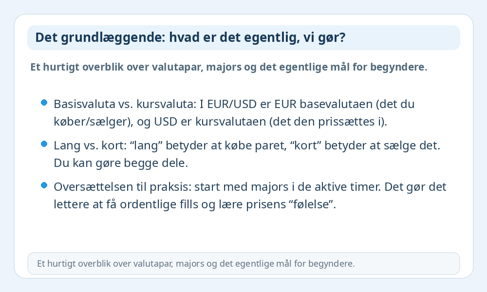Infografik med de vigtigste Forex-grundbegreber