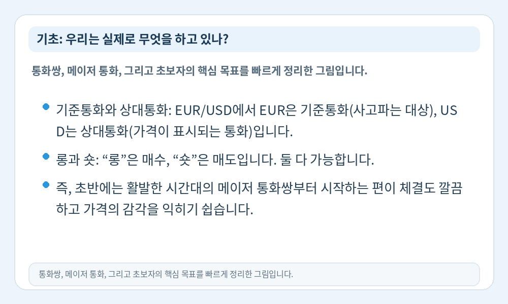 포렉스 기초 인포그래픽