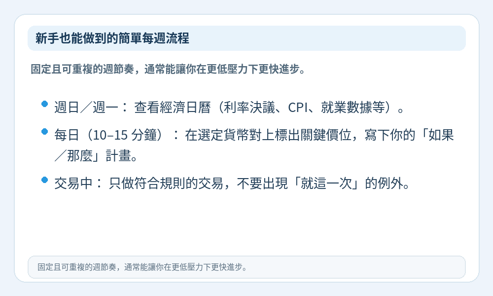 新手每週流程資訊圖