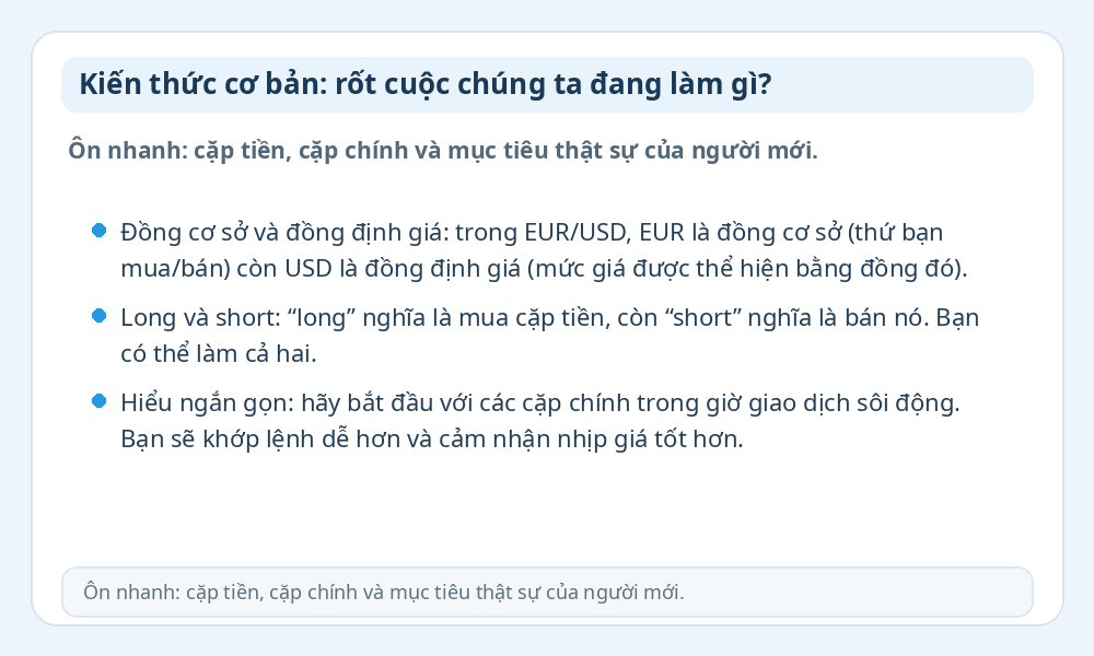 Infographic kiến thức Forex cơ bản