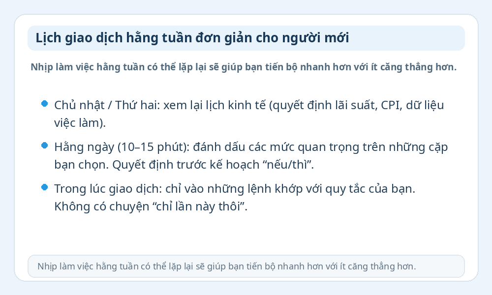 Infographic lịch giao dịch hằng tuần cho người mới